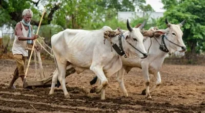 ಅನ್ನದಾತನ ಜಮೀನ ತಂದು ಎಂದು ಹೇಳುವ ಹಕ್ಕು ಅವರಿಗಿಲ್ಲ…