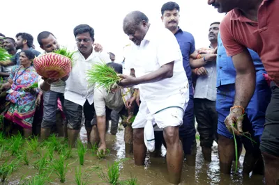 ಭತ್ತ ನಾಟಿ ಮಾಡಿದ ಕುಮಾರಸ್ವಾಮಿ