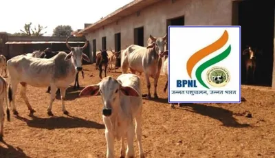 bpnl ನೇಮಕಾತಿಗೆ ಅರ್ಜಿ ಆಹ್ವಾನ