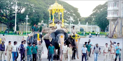 ಮರದ ಅಂಬಾರಿ ತಾಲೀಮು ಶುರು