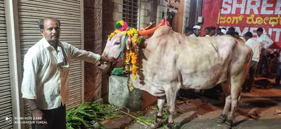 ಜಿಪಿಎಸ್‌ನಂತೆ ಕಾರ್ಯನಿರ್ವಹಿಸುವ ಎತ್ತುಯಾತ್ರಿಗಳಿಗೆ ದಾರಿ ತೋರುವ ಕಂಟ್ಲಿ ಬಸವಣ್ಣ