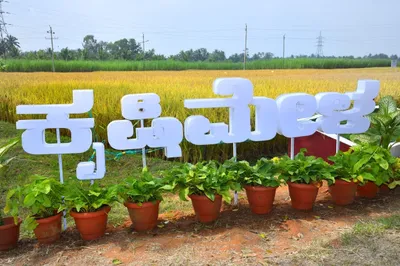 ಧಾರವಾಡ ಕೃಷಿ ಮೇಳ  ಅನ್ನದಾತನ ಹಬ್ಬಕ್ಕೆ ಸಜ್ಜಾದ ಕೃಷಿ ವಿವಿ