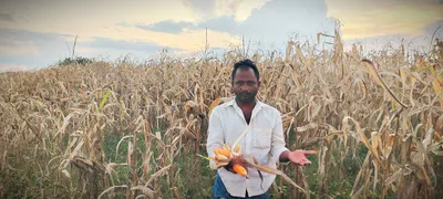 ಸತತ ಮಳೆಯಿಂದ ರೈತರಿಗೆ ಮತ್ತಷ್ಟು ನಷ್ಟು