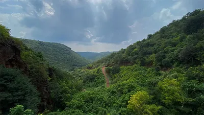 ಕಪ್ಪತ್ ಗುಡ್ಡದ ಜೀವ ವೈವಿದ್ಯತೆ ಕಾಪಾಡಬೇಕು